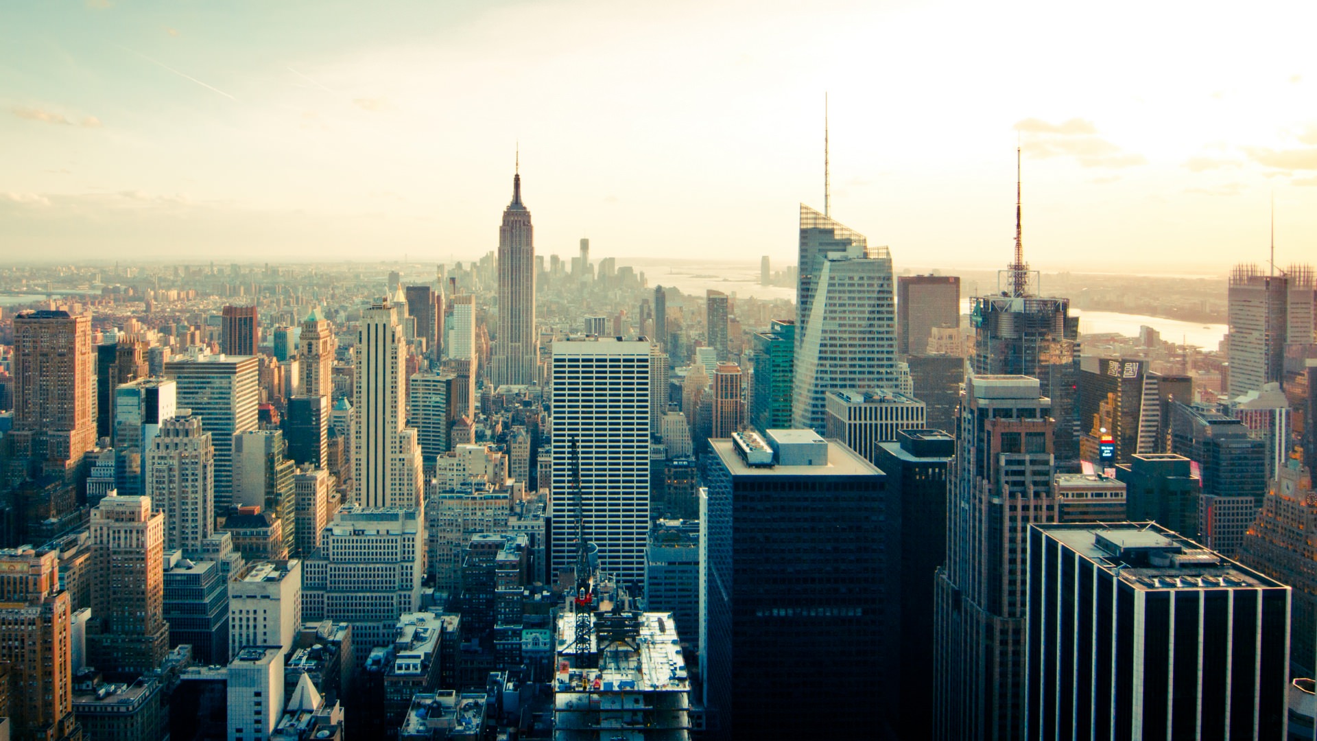Everything You Need to Build A Startup